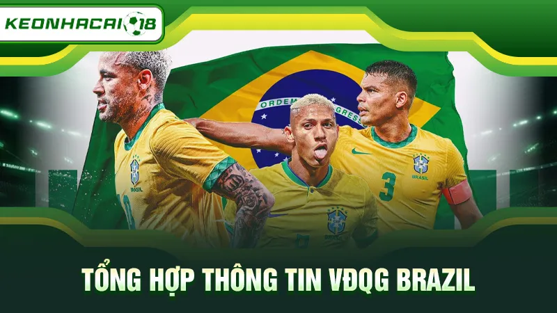 Tổng hợp thông tin VĐQG Brazil
